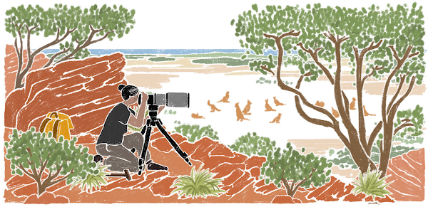 Illustration of a filmmaker capturing scenes with a long-focus lens in the wild, surrounded by trees.
