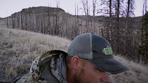 Bowhunting Elk in Grizz Country, Part 2 thumbnail