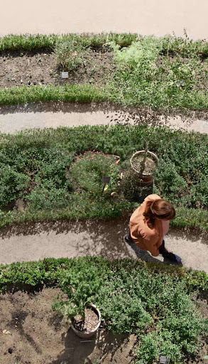 Aerial view of people walking around a wifi-shaped, sustainably-grown garden