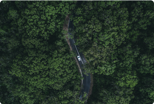 Fly-over view of a car driving on a winding road in a forest.