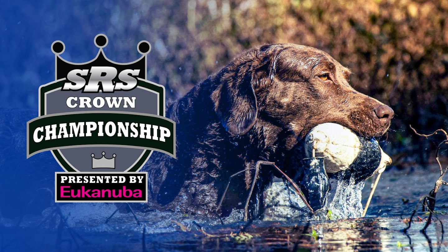 Watch The Super Retriever Series Crown Championship live