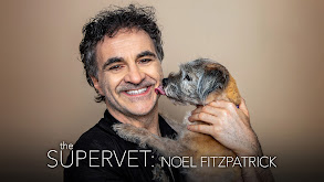 The Supervet: Noel Fitzpatrick thumbnail