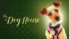 The Dog House: UK thumbnail