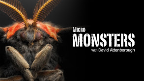 Micro Monsters With David Attenborough thumbnail