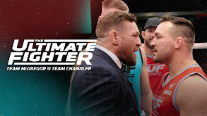 The Ultimate Fighter: Heavy Hitters thumbnail