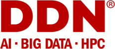 Logotipo de DDN