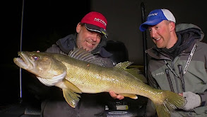 Fly By Night: Hit Stick Baits for Big Fall Walleye thumbnail