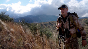 Stalking the Grey Ghost: Arizona Couse Deer thumbnail