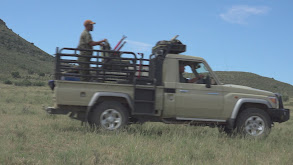 Tam Safari Safari Roan/Impala thumbnail
