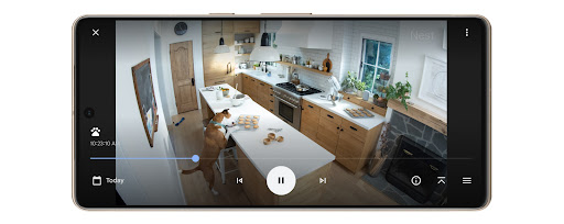 Event history in the Google Home app shows the dog taking a cookie off the kitchen counter.
