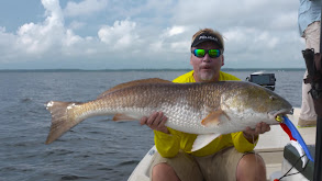 Trophy Red Drum in NC's Neuse River thumbnail
