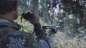 Bow Hunting Public Land Elk, 2021 thumbnail