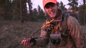 Rattling Whitetails in the Black Hills thumbnail