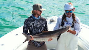 How to Catch Cobia in the Gulf of Mexico thumbnail
