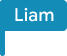 Google Doc cursor graphic with Liam as the username