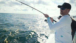 Kingfish and Grouper in the Gulf thumbnail
