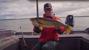 Master Class on Electronics for Great Lakes Walleyes thumbnail