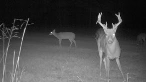Deer Hunting Realtree Farms thumbnail