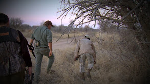 Team Primos Hunts Big Game in South Africa thumbnail
