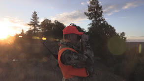 Colorado Elk with the 2021 Eastmans' Hunt Winner thumbnail