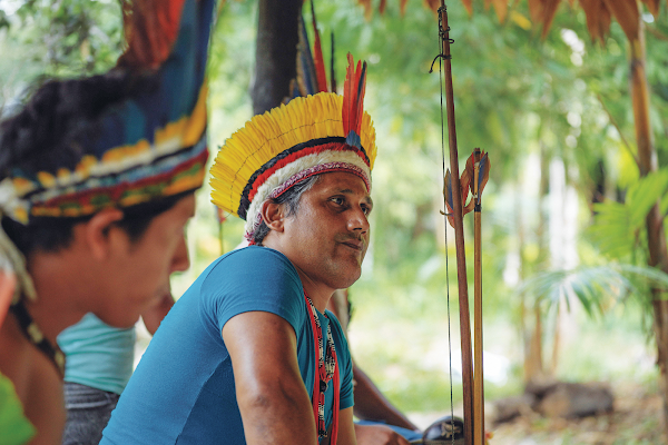 A tribe uses cell phones and TensorFlow to fight illegal logging in the Amazon