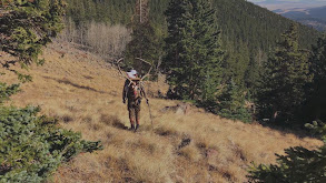 Colorado Elk With MeatEater Producer Janis Putelis thumbnail