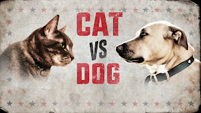 Cat vs. Dog thumbnail