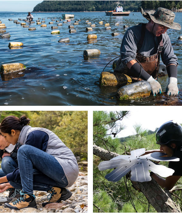 Collage of people using technology to drive climate issues — including using a tablet in a field, looking at data by a creek, working in the water and in a tree, and using tools on a solar panel.