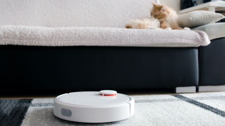 robot vacuum on floor; cat on sofa in background