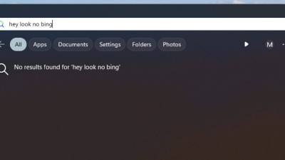 A search for the the "hey look no bing" in the start menu. There are no results. 
