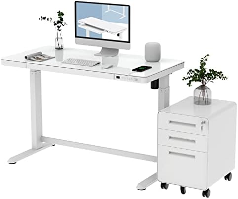 FLEXISPOT EG8 Glass Electric Standing Desk with White Cabinet 48" Adjustable Stand Up Desk Quick Install Home Office Table with Storage Drawer Charging USB Port (Tempered Glass + White Frame)