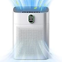 The Quietest Air Purifier You'll Find