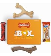 Nylabone Dog Gift Box for Small Dogs - 3 Strong Chew Toys and 1 Dog Treat - Flavor Variety, Small...