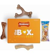 Nylabone Puppy Gift Box - 3 Strong Chew Toys for Teething Puppies and 1 Dog Treat - Puppy Supplie...