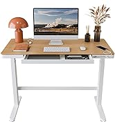 FLEXISPOT EB8 Standing Desk with Drawers Electric Sit Stand up Desk with Storage 48 x 24 Inches B...