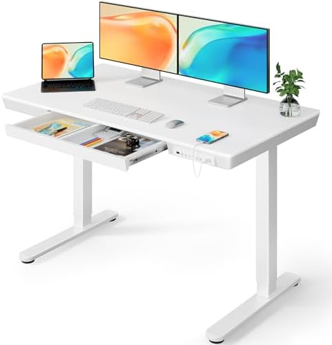 ErGear Electric Standing Desk, 48 x 24 inch Standing Desk with Drawer, Sit Stand Desk with Preassembled Top & USB Charging Ports, Height Adjustable Standing Desk for Home & Office (White Wood)
