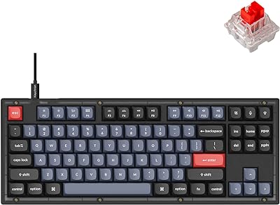 Keychron V3 Wired Custom Mechanical Keyboard, TKL Tenkeyless QMK/VIA Programmable Macro with Hot-swappable Keychron K Pro Red Switch Compatible with Mac Windows Linux (Frosted Black-Translucent)