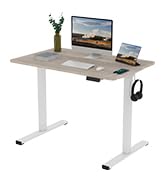 FLEXISPOT Essential Standing Desk Electric Stand Up Desk with 48 x 24 Inches Whole-Piece Desktop ...