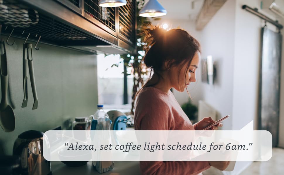 Smart Light Schedules Alexa Voice Control