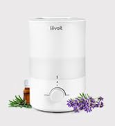 Levoit Dual 150 Top-Fill Cool Mist Humidifier