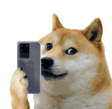Doge Dogecoin GIF - Doge Dogecoin Selfie GIFs
