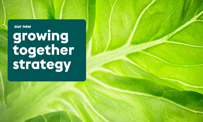 Ahold Delhaize launches its Growing Together strategy building on its core strengths