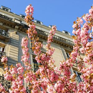 Avec un prix au mètre carré moyen de 14.500 euros (+ 4,5 %), Paris, situé en 9e position des villes du monde où l'immobilier de luxe est le plus cher, selon une étude de Savills, a été l'une des rares, avec Madrid, épargnée par le creux de marché du second semestre.