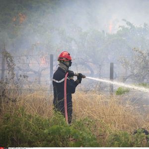 En 2019, 1.100 hectares ont brûlé.
