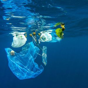 D'après une étude publiée le 8 mars dans la revue américaine « PLOS One », 170.000 milliards de morceaux de plastique flotteraient à la surface des océans.iStock