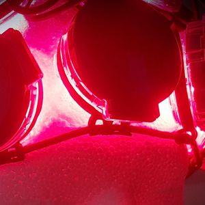 La technologie novatrice de RegenLife repose aussi sur l'émission de trois sources lumineuses : diodes rouges, infrarouges et lasers.