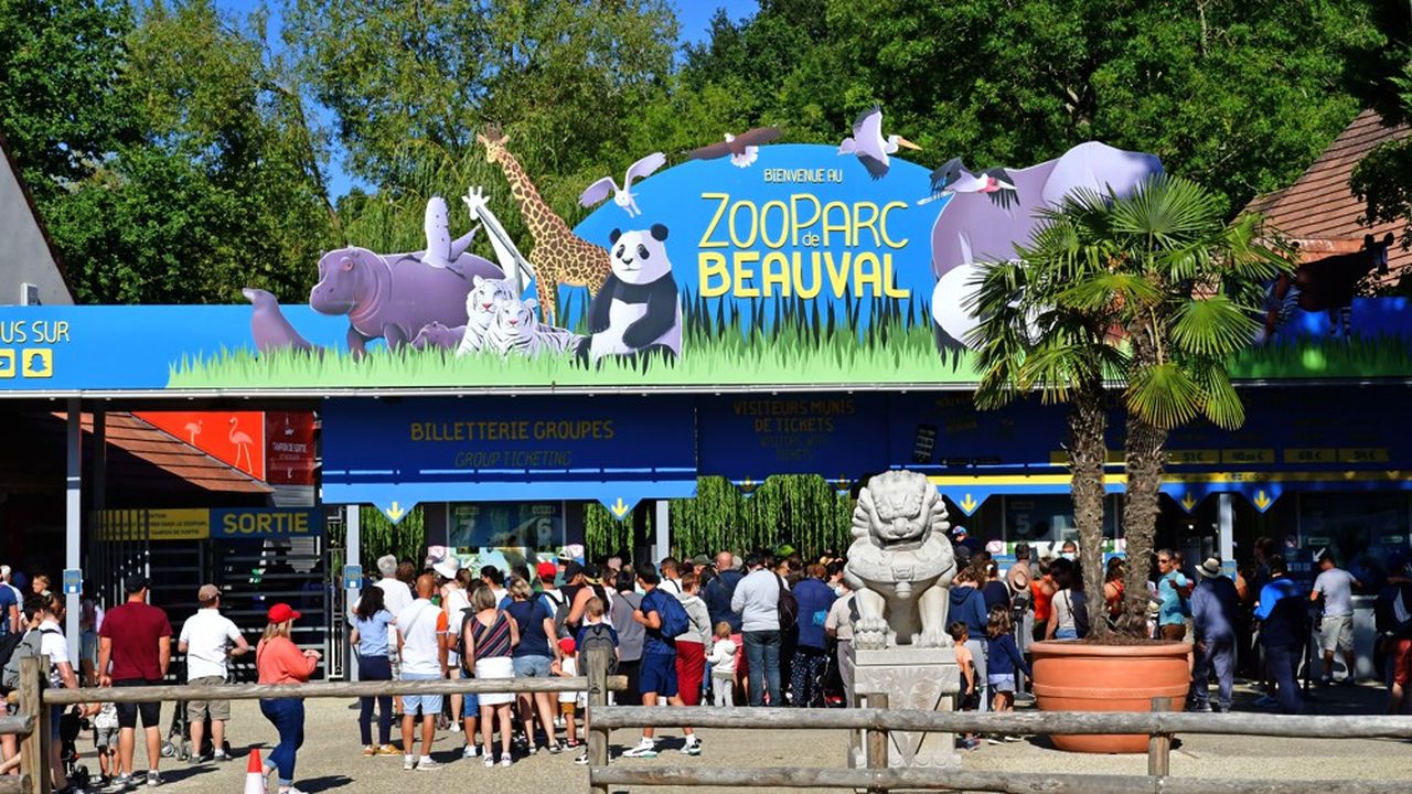 Le célèbre zoo emploie 1.500 personnes et a dégagé 105 millions d'euros de chiffre d'affaires en 2022.