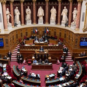 Un « compromis » a été confirmé par le président du groupe centriste Hervé Marseille prévoit la suppression de l'article 3 de la loi immigration.