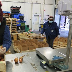 Le Potager de Marianne est situé au coeur du MIN de Rungis. Ce chantier d'insertion récupère les invendus de fruits et légumes pour les redistribuer dans toute la France. En 2022, l'association a traité 450 tonnes d'invendus alimentaires.