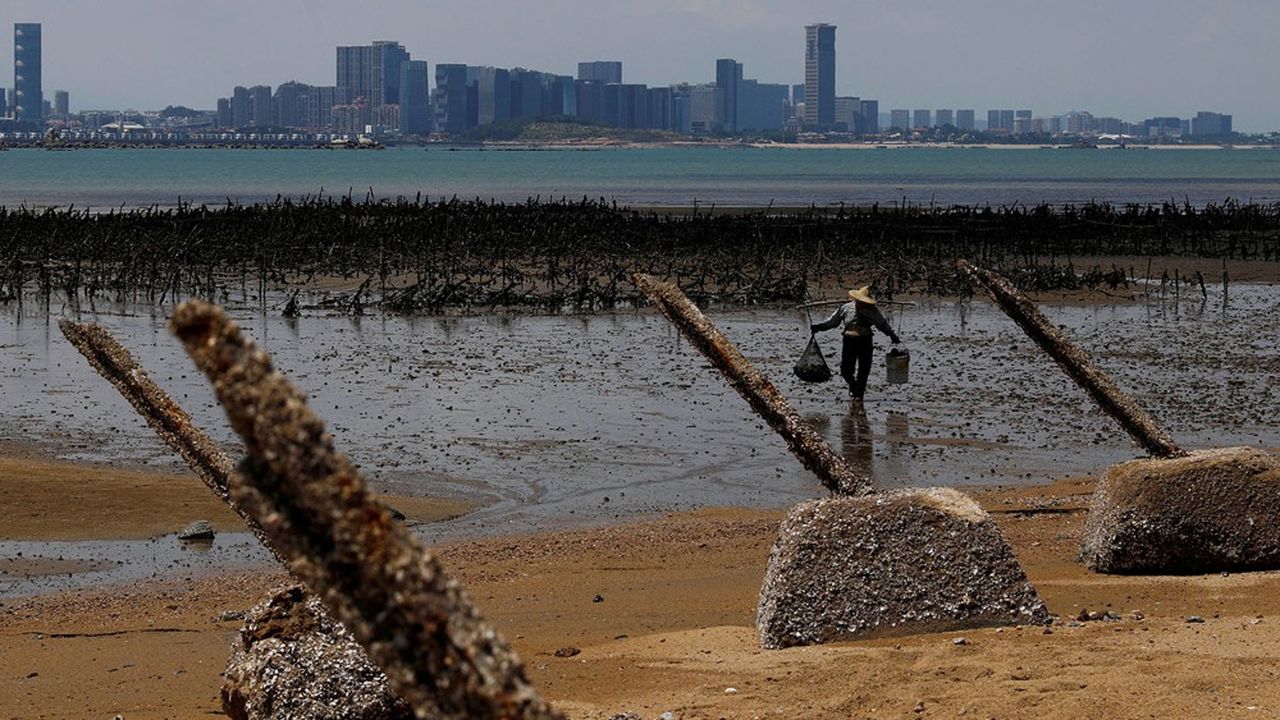 Un élevage d'huîtres sur la côte ouest de Kinmen. L'archipel taïwanais n'est qu'à quelques kilomètres de la ville chinoise de Xiamen.